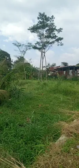 di jual tanah darat subur di dekat Lido cigombong