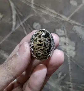 Cincin Batu Fosil Galih Kelor Serat Emas