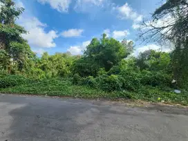 Dijual Tanah Premuim Murah di Jalan Dewi Madri X Renon Denpasar