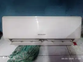 Ac sharp 1/2 pk