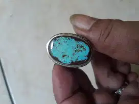 Pirus persia oke banget