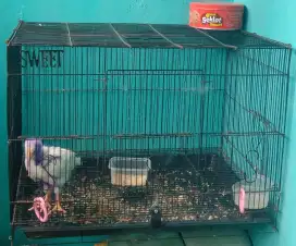 Kandang besi untuk hewan peliharaan