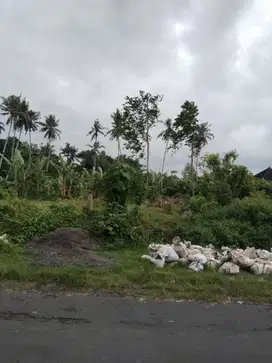 Dijual tanah datar dekat jln utama