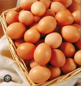 Telur ayam per 1 kg