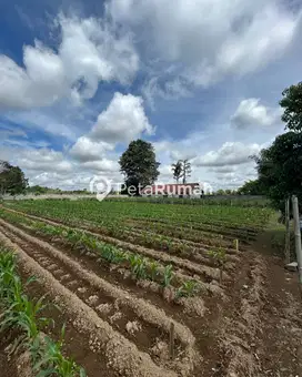 Dijual Tanah + Bangunan SHM Di Jl Besar Kabanjahe