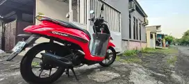 Honda Genio 2019