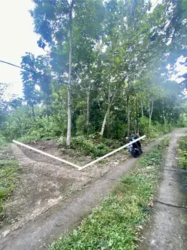 Tanah di Bangunjiwo Murah 20menit dari Kota Jogja