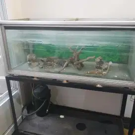 Aquarium Besar 150 cm x 50 cm x 50 cm beserta rangka besi dudukannya