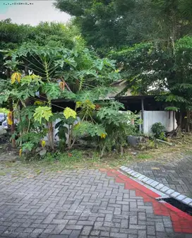 Rumah Rungkut Asri Utara ROW 3 MOBIL, HITUNG TANAH 
