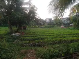 Dijual Tanah 2,3HA Lokasi Stretegis! di Cengkareng Jakarta Barat
