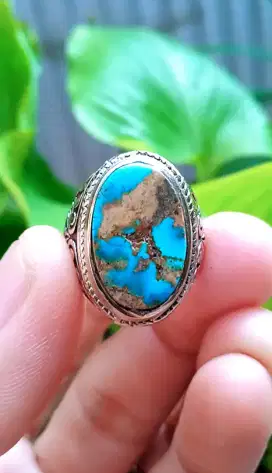 PIRUS PERSIA URAT MAS LAWASAN