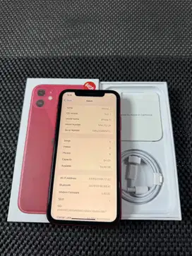 iPhone 11 inter/ibox