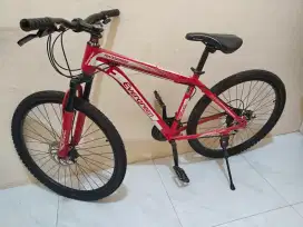 Sepeda Evergreen Mulus Terawat