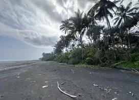 Tanah los pantai ( beachfront ) di jembrana Bali