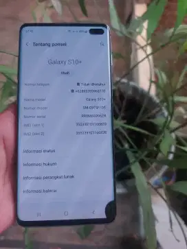 Samsung Galaxy S10+