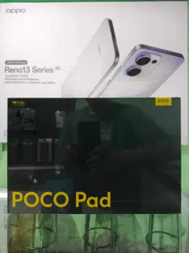 Poco Pad  8/256