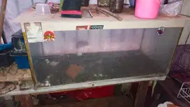 Edisi Pensiun jual semuanya