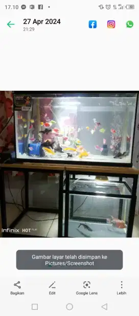 Aquarium ikan fullset