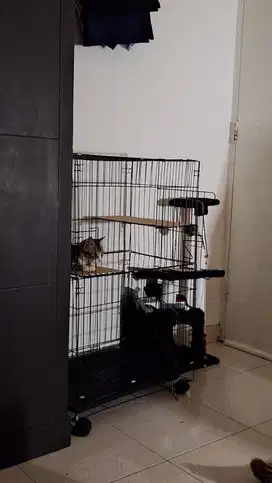 KANDANG KUCING ANJING 3 TINGKAT BARU 2x PAKAI