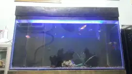 Aquarium 1 meter