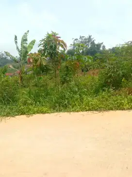 TANAH MURAH PINGGIR JALAN AREA CIWIDEY