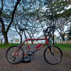 Dahon dash full upgrade