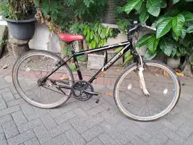 Polygon Monarch Single Speed