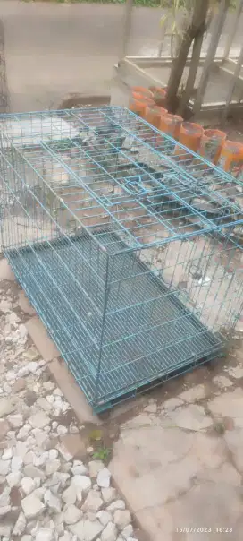 Kelengkapan Ternak burung dan kucing