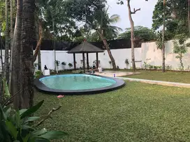 Rumah Sewa Semi Furnished Halaman Luas di Kemang Jaksel
