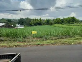 Dijual Tanah Murah Wagir Jedong Krobokan Malang
