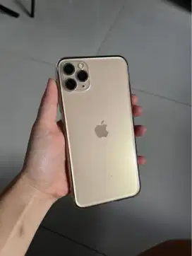 Ip 11 Pro Max 64 gb gold BISA NEGO