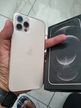 Iphone 12 Pro 256Gb 5G Resmi pa/a ibox (notip icaler) nsoh bgus bs TT