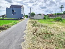 Legalitas SHM Tanah Dekat JCM Lokasi Strategis Mangku Jalan Aspal