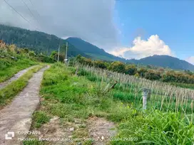 TANAH 3250m² ADA P0H0N APOKAT 120 POHON SUBUR VIEW BAGUS