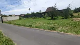 300 METER RS QUEEN LATIFA: Tanah Jogja Dalam Ringroad di Nogotirto
