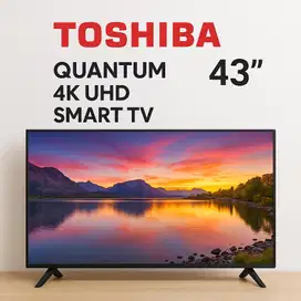 Toshiba 43” Quantum Dot 4K M450