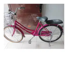 Sepeda Keranjang Dewasa Alloy Pink-24 inch