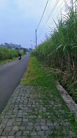 TANAH LOKASI SEBELAH TIMUR LAPANGAN TUREN KAB.MALANG
