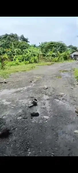 Dijual tanah di jalan utama/komersil jalan utama Serang Baru Cikarang