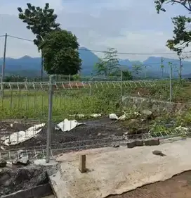 Miliki Tanah Kavling Murah Eksklusif Di Bogor Bebas Banjir Free AJB