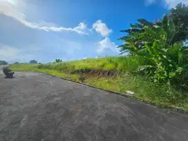 Tanah Luas 420 M² Di Buduk Dekat Ke Canggu Bali