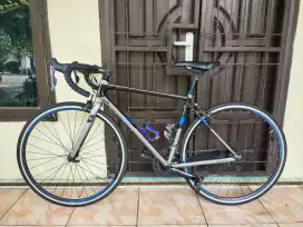 Polygon stratos s2 mulus