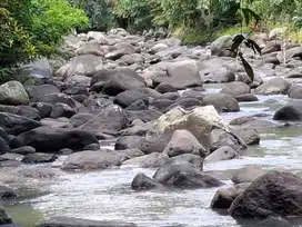 Dijual tanah los sungai indah di selemadeg Tabanan Bali