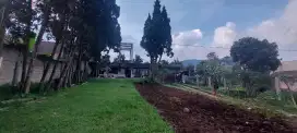 Tanah dengan bangunan hitung tanah saja