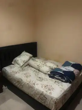 Jual Dipan 160 x 200
