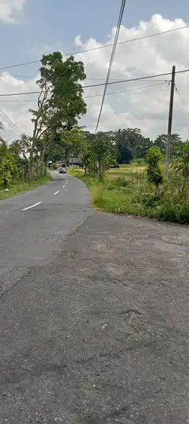 Sawah tepi jln utama view merapi