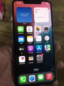 iphone xs max 256gb