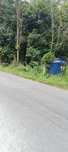 Lahan kosong tepi jln utama xurang