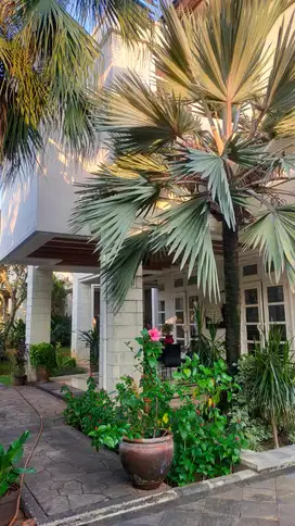 Rumah di Komplek River Park Bintaro jaya sektor 8 TangSel