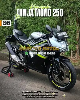 Kawasaki Ninja Mono 250 SL